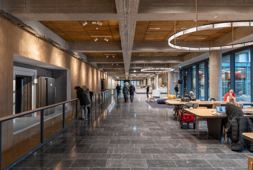 Ossip Architecture Photography