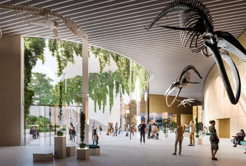 3XN