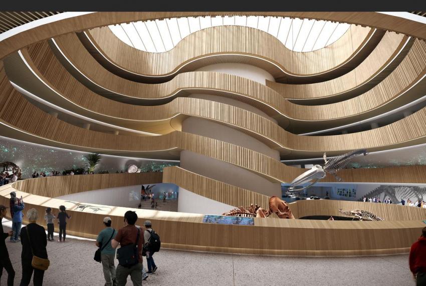 3XN