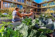 Witherford Watson Mann/Grant Associates