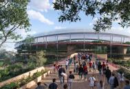 Hassell/COX Architecture